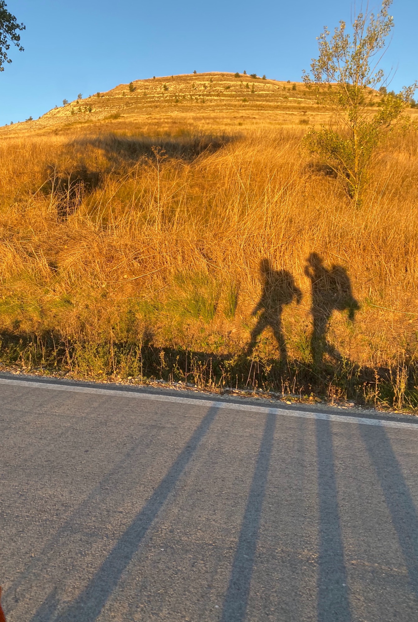 Discoveries on the Way